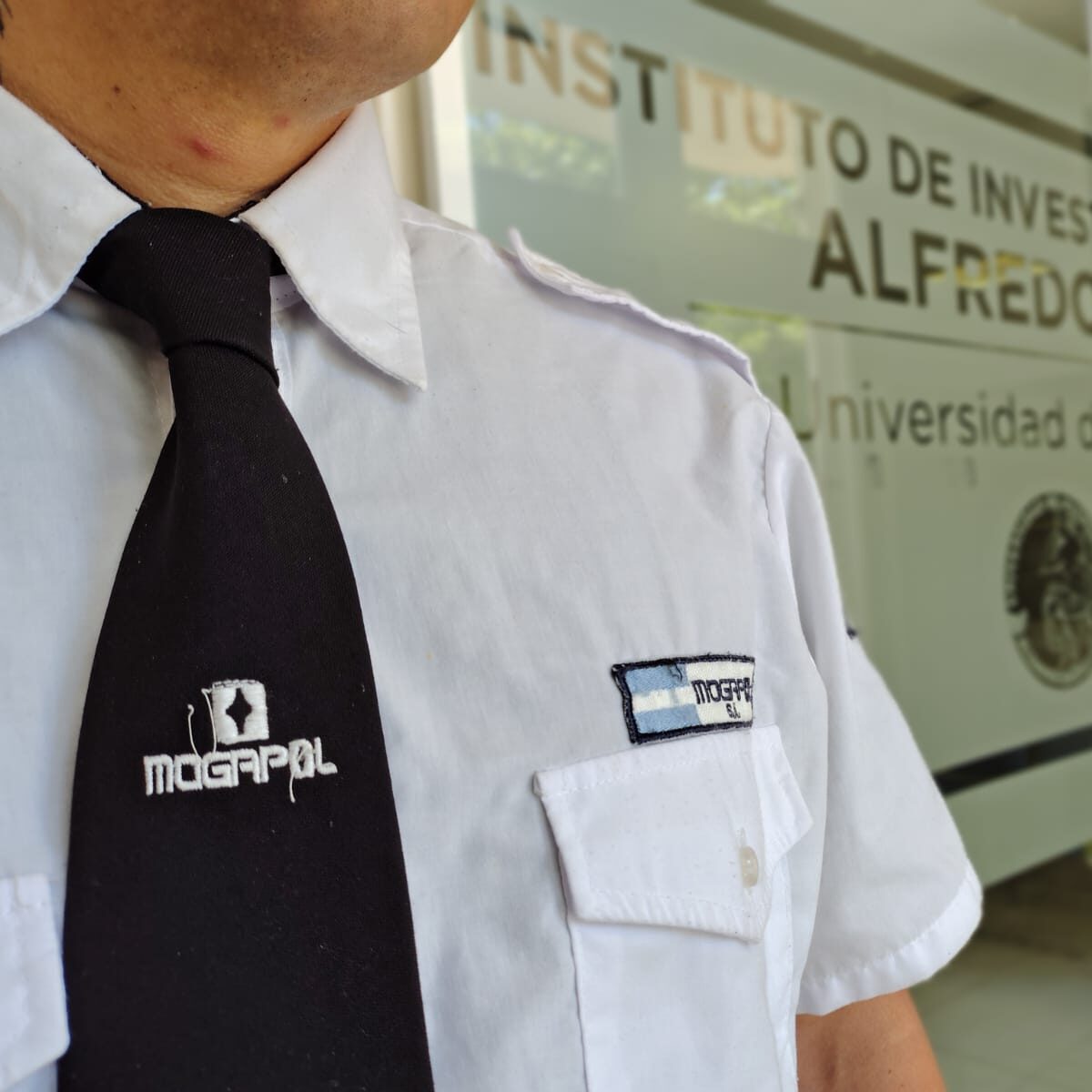 imagen de whatsapp 2025 11 26 a las 11.24.58 5217cec5